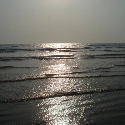 Glowing Waves at Sunset on a Serene Beach