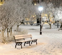 seul, alone bench, hiver cool, lampe, hiver