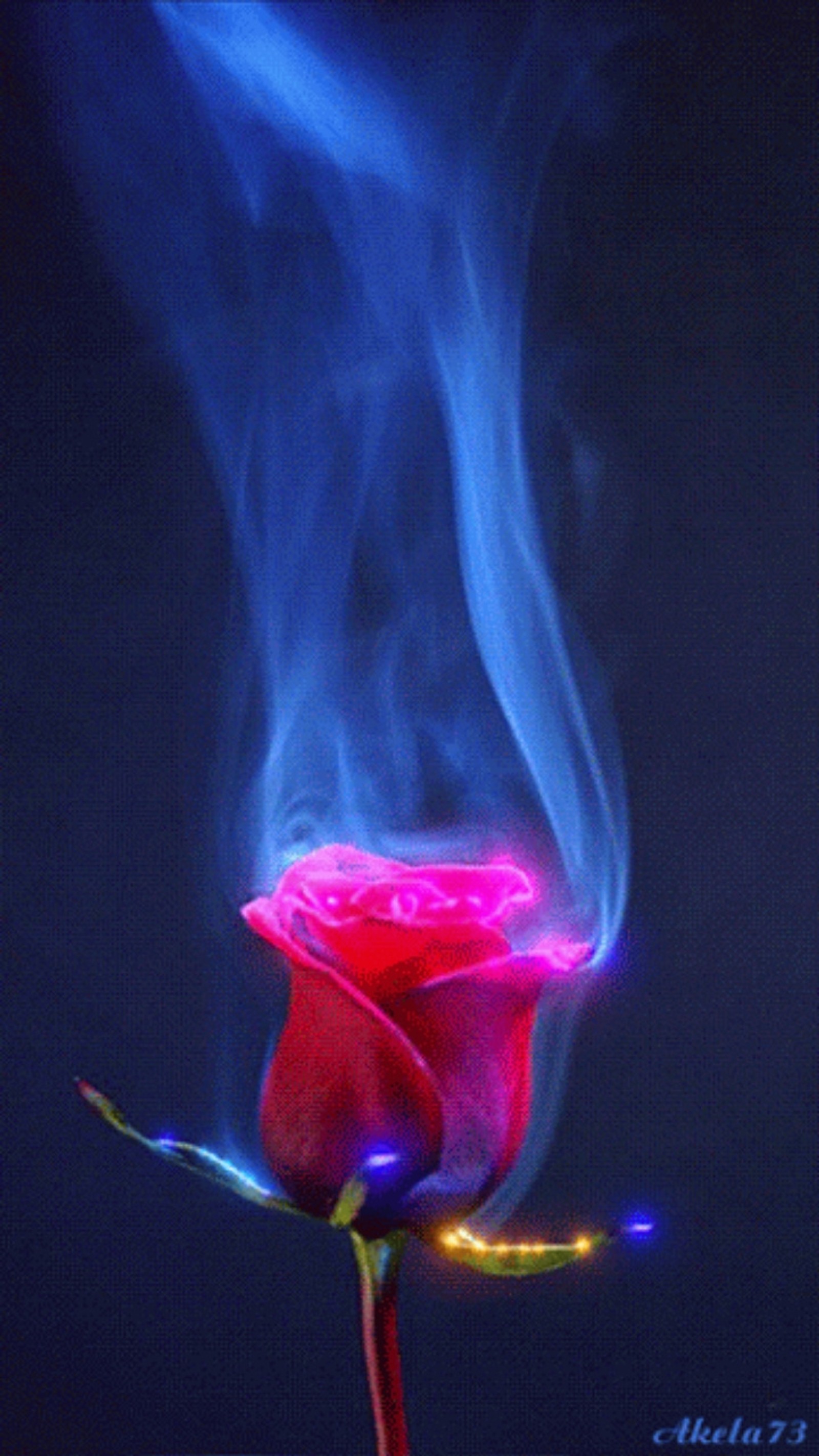 Une rose rouge avec de la fumée bleue s'élevant de sa tige (feu, flammes, rose)