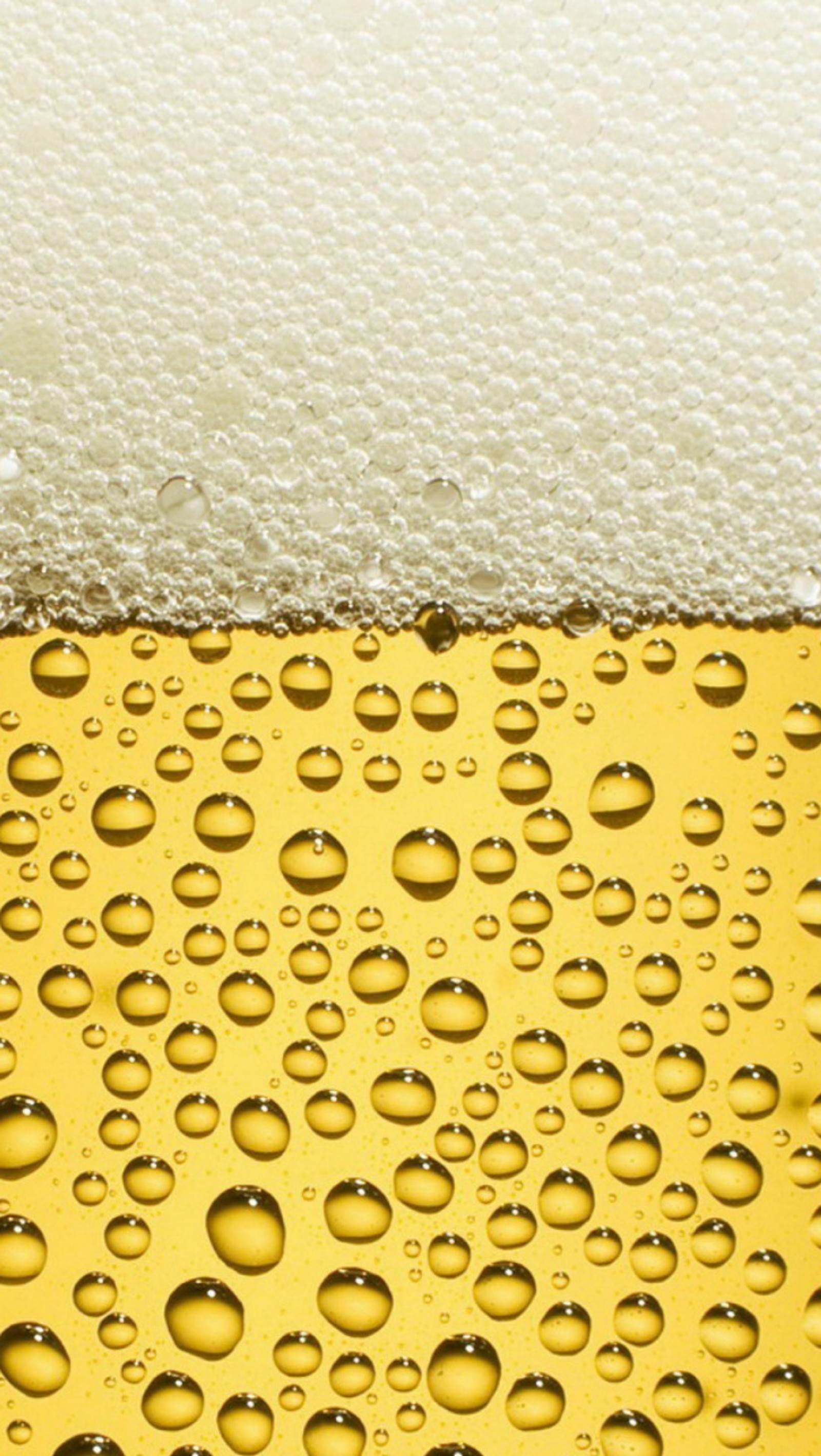 Un primer plano de un vaso de cerveza con burbujas (cerveza, gold beer, zedgeoktober)