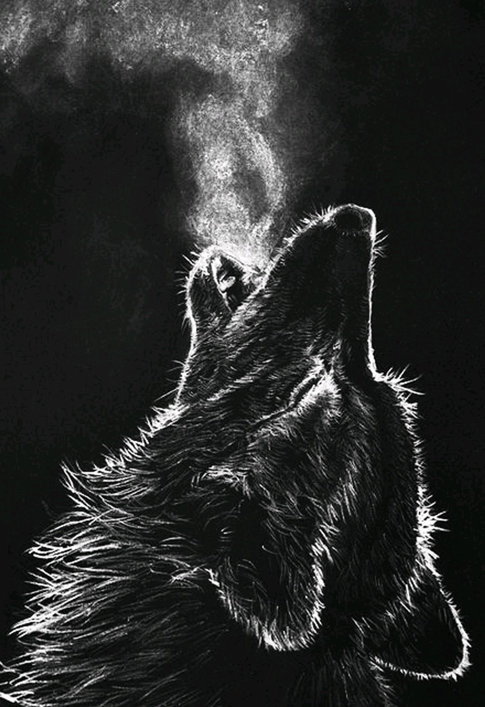 Pintura de un lobo con humo saliendo de su boca (bozkurt, turco)