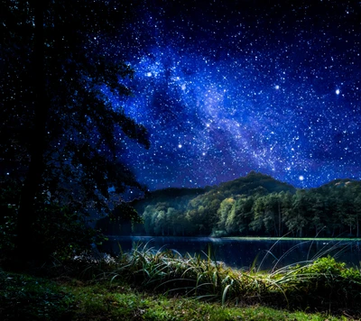 Starry Night Over a Serene Forest Landscape