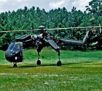 Military helicopter parked in a grassy field with trees in the background.