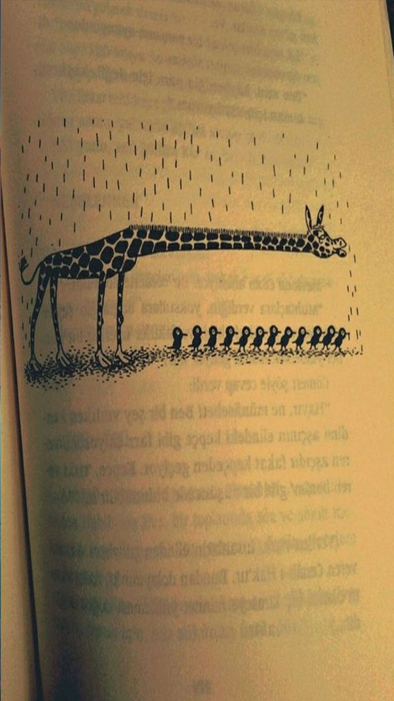 There is a book with a drawing of a giraffe and a bird (rain, shade)