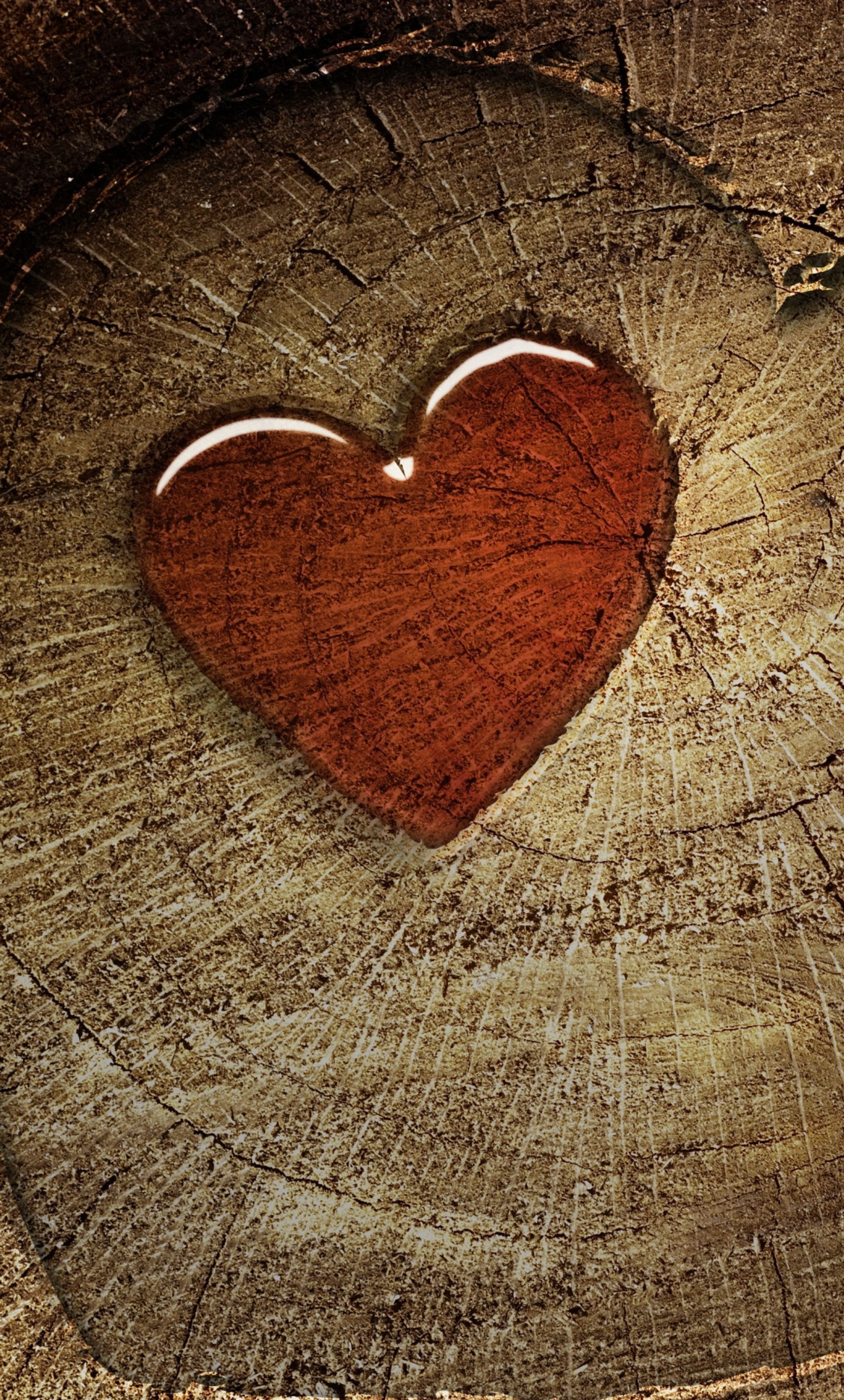 There is a heart shaped wooden object on a tree stump (awesome, love)