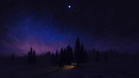 night, sky, scenery, forest, digital art wallpaper