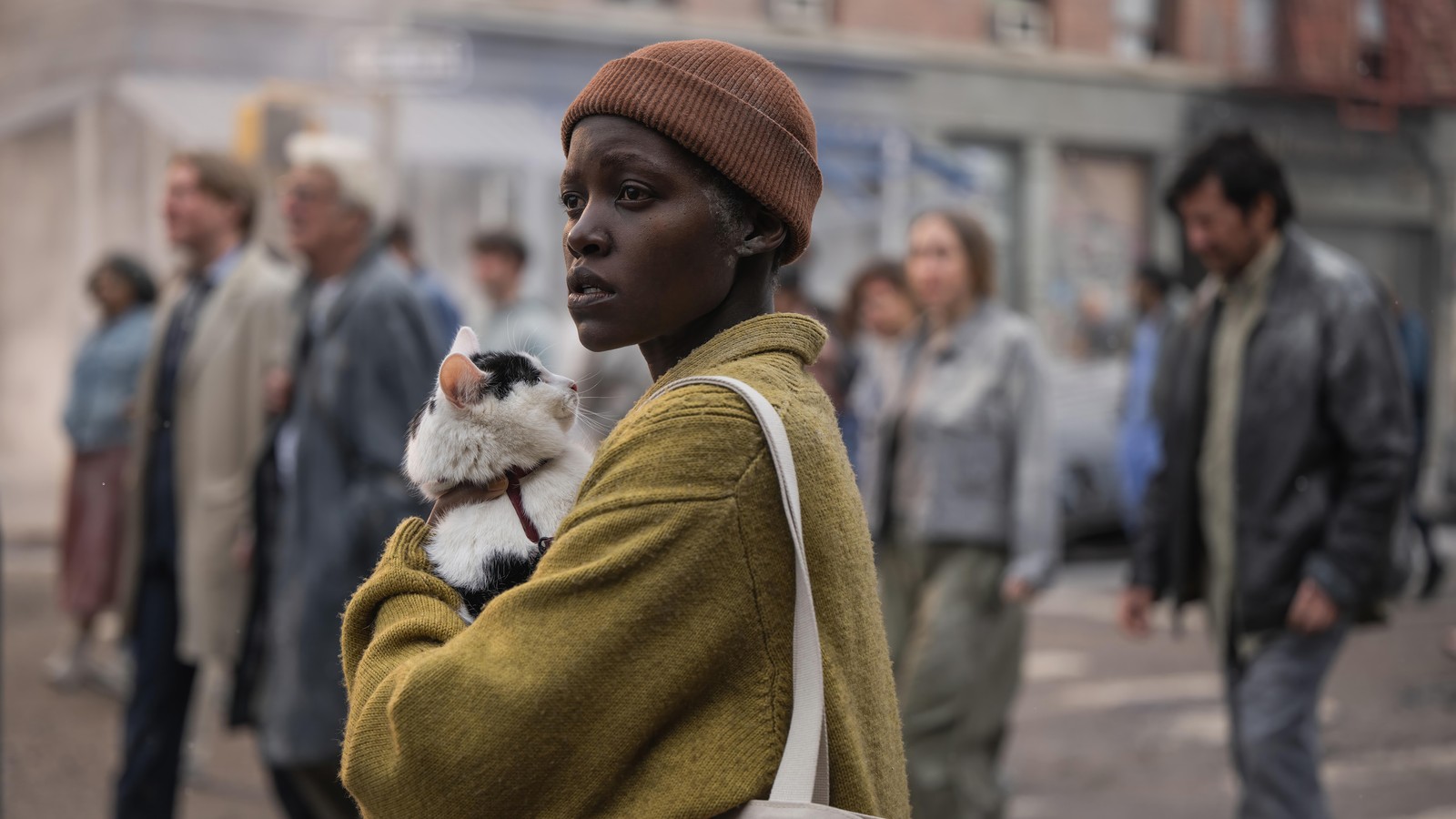 Uma mulher segurando um gato em seus braços na rua (um lugar silencioso dia um, a quiet place day one, filme, gato, lupita nyongo)