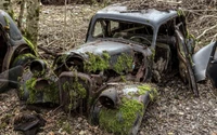 Coche antiguo oxidado cubierto de musgo en un entorno boscoso