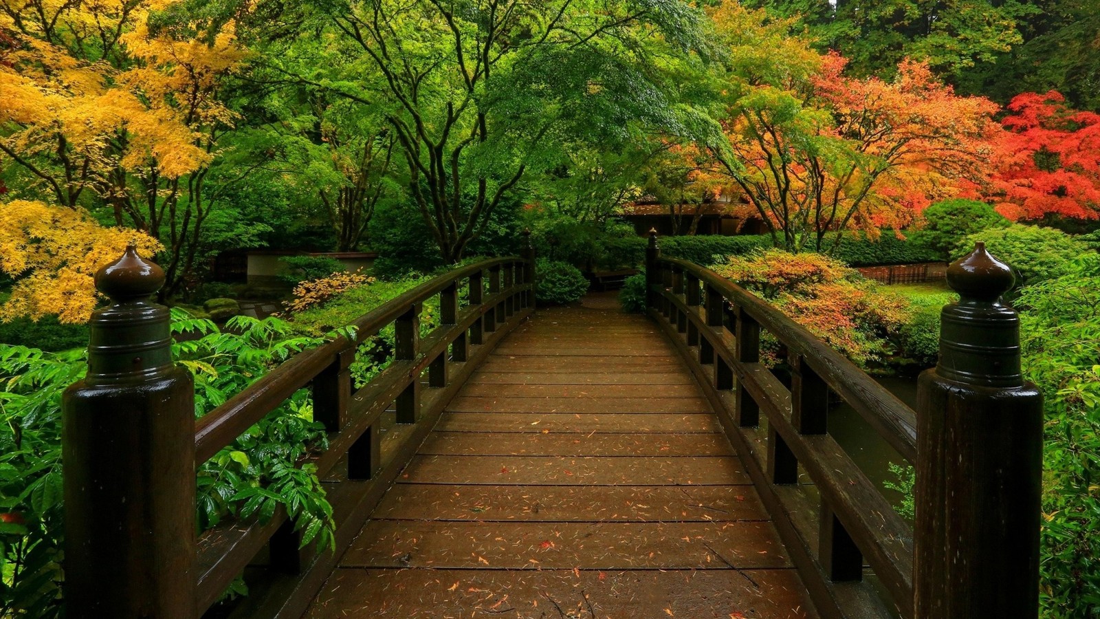 garden, japanese garden, nature, tree, leaf wallpaper