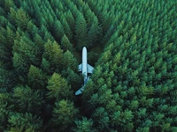 Avião em meio a uma floresta verde exuberante: Perspectiva aérea