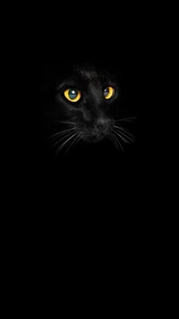 Gato negro misterioso con llamativos ojos amarillos