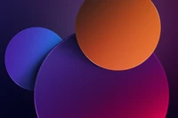 colorful, circles, gradient background, 5k, abstract wallpaper