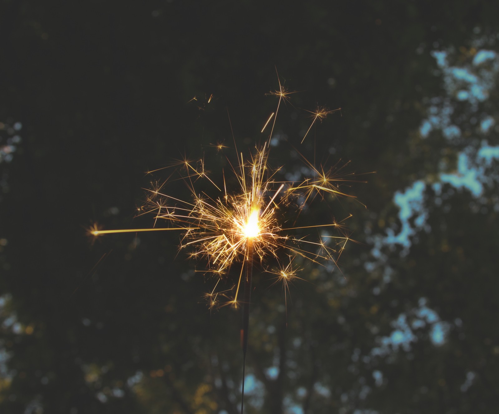 Ein wunderkerze, die im dunkeln brennt (feuer, feuerwerk, sprühkerze, diwali, feiertag)