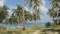 Tropical beach paradise in Thailand with palm trees, clear sea, and boats along the shore.