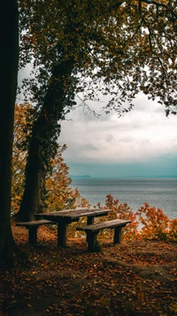 Tranquil Autumn Sanctuary by the Water