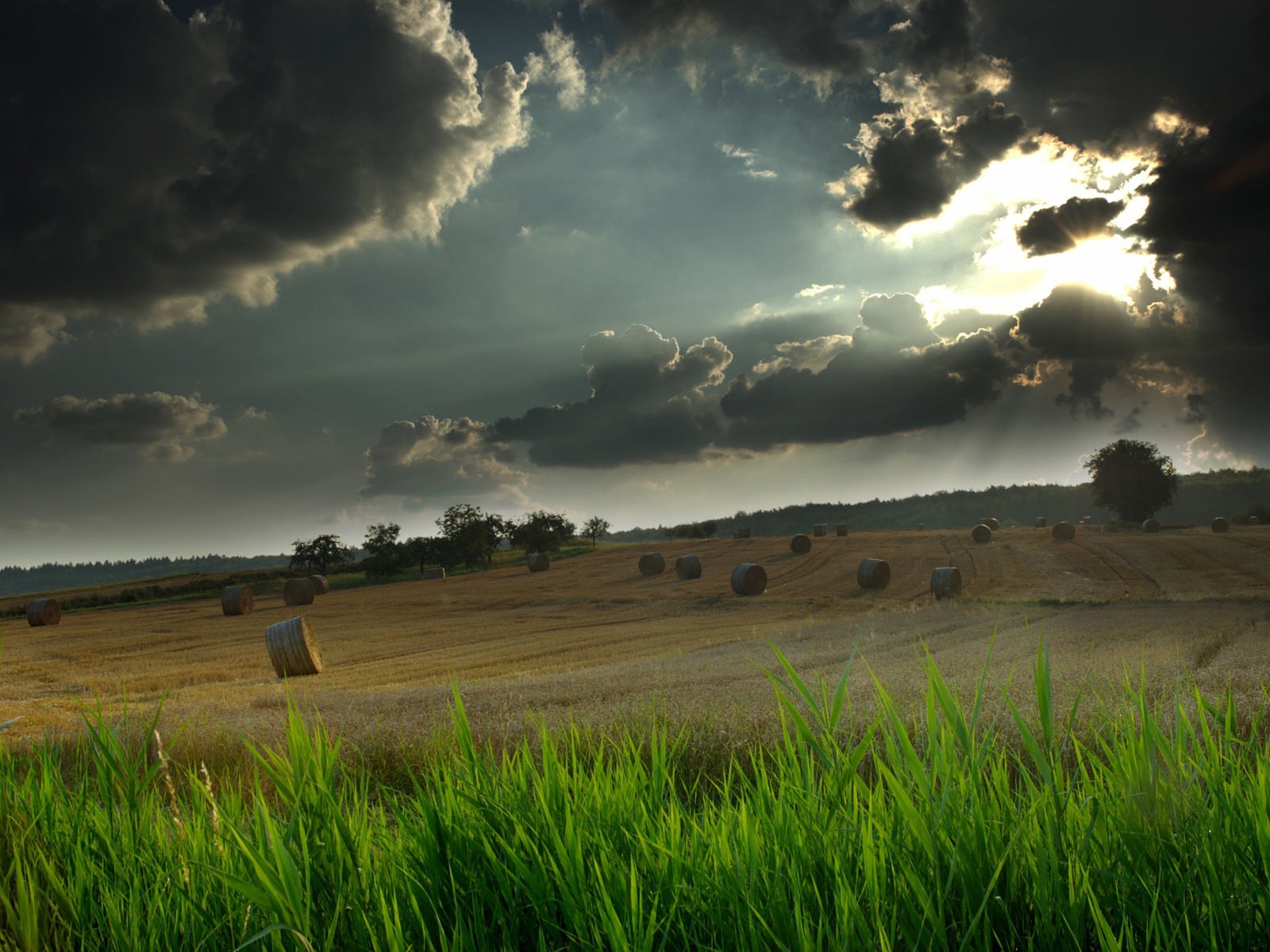 Gros plan d'un champ avec des balles de foin et un ciel nuageux (paysage, nuage, paysage naturel, nature, vert)