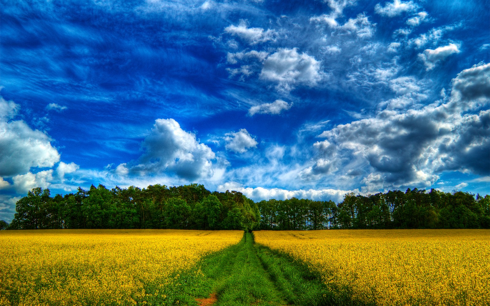 landscape, landscape painting, field, nature, grassland Download Wallpaper