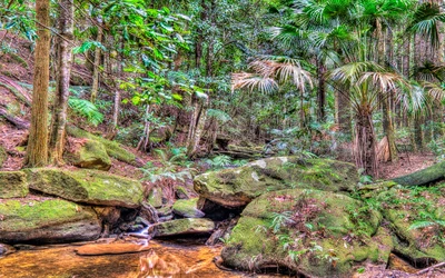 Lush Tropical Rainforest Ecosystem with Ancient Rock Formations