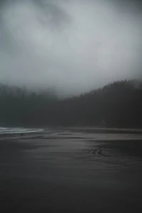 Côte brumeuse au crépuscule avec des reflets de forêt sombre