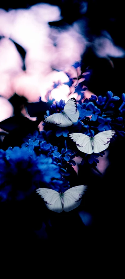 Délicates papillons bleus pollinisant des fleurs vibrantes