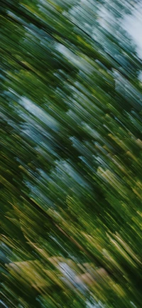 Dynamic Greens: A Blurred Dance of Terrestrial Flora