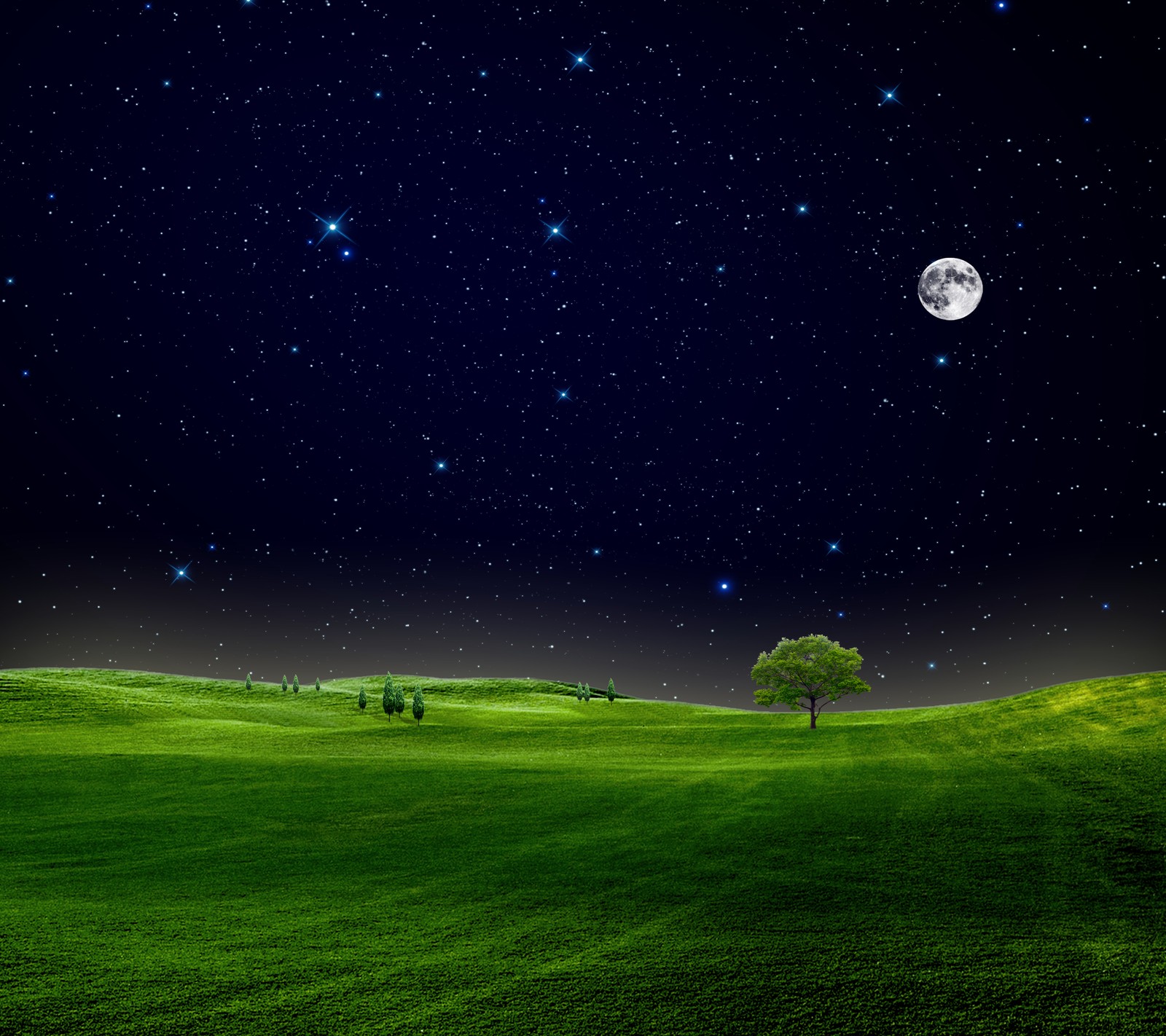 A green field with a tree and a full moon in the sky (field, grass, hd, moon, nature)