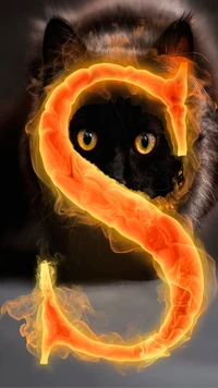 alphabet, animals, black, cat, fire