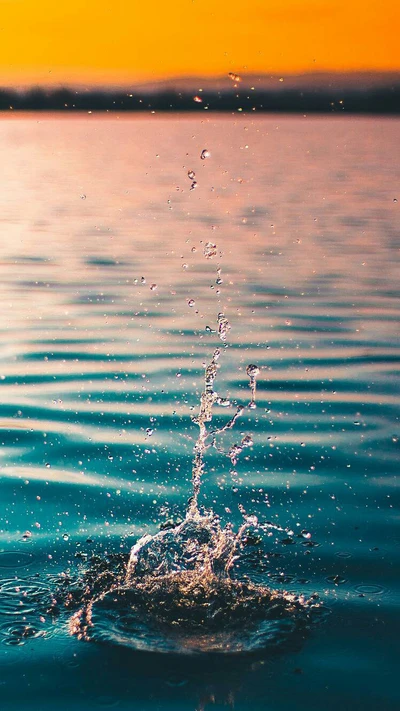 lake, nature, splash, sunrise, sunset