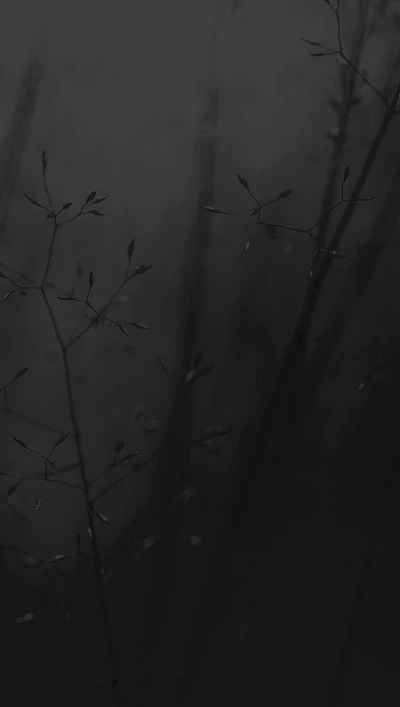 dark, forest