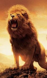 Majestic Lion Roaring at Dusk