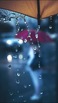 water, rain, drops wallpaper