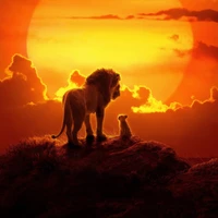 León majestuoso y cachorro al atardecer