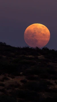 Majestuosa luna llena saliendo sobre colinas oscuras