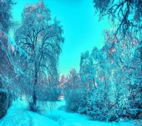 landscape, winter wallpaper