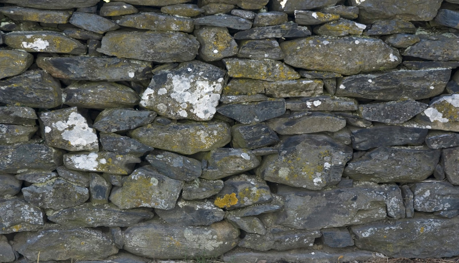 A close up of a stone wall with moss growing on it (stone wall, brick, stone, wall, rock)