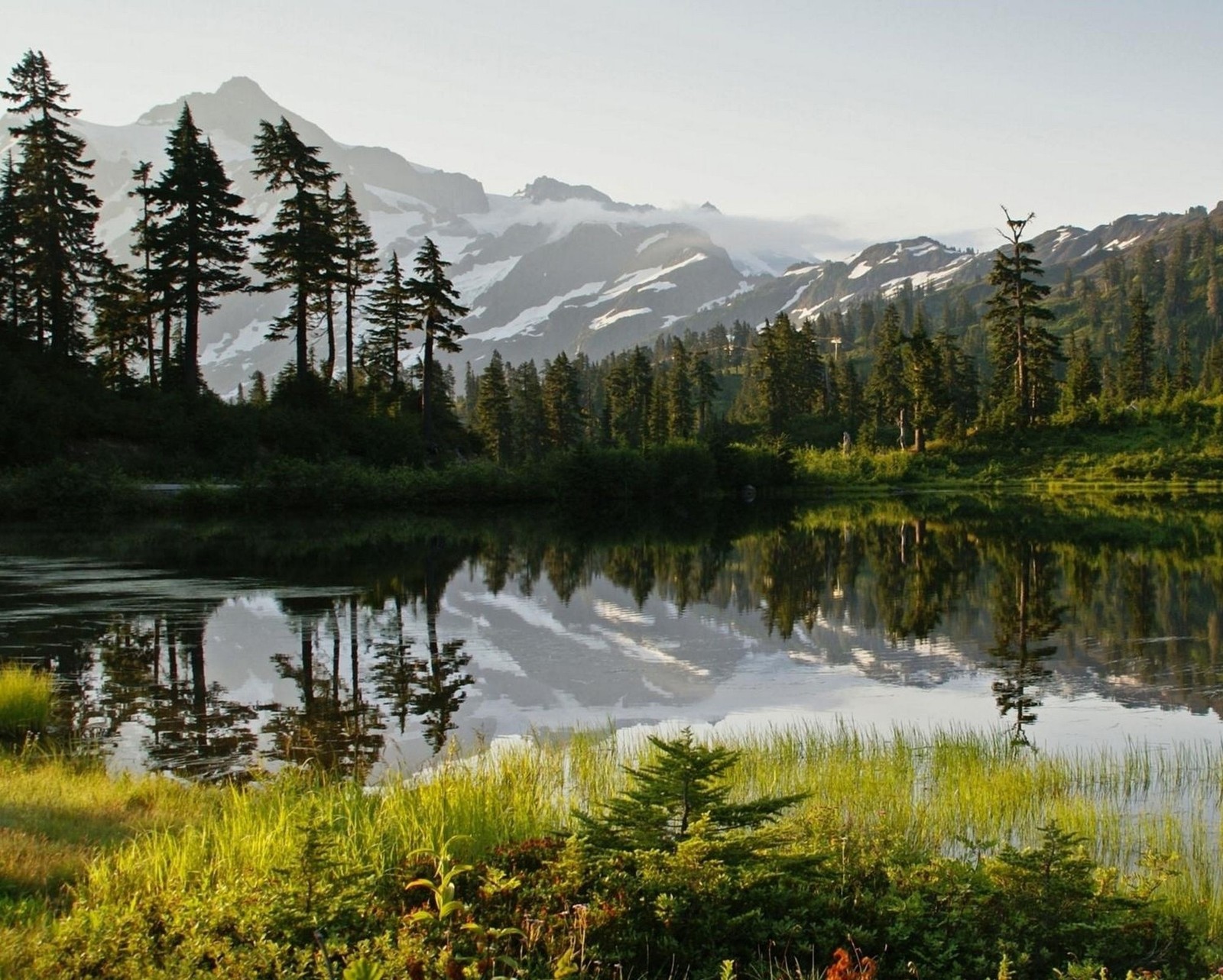 Mountains reflected in a lake surrounded by trees and grass (lake, lakeside, mountain, snow, trees)