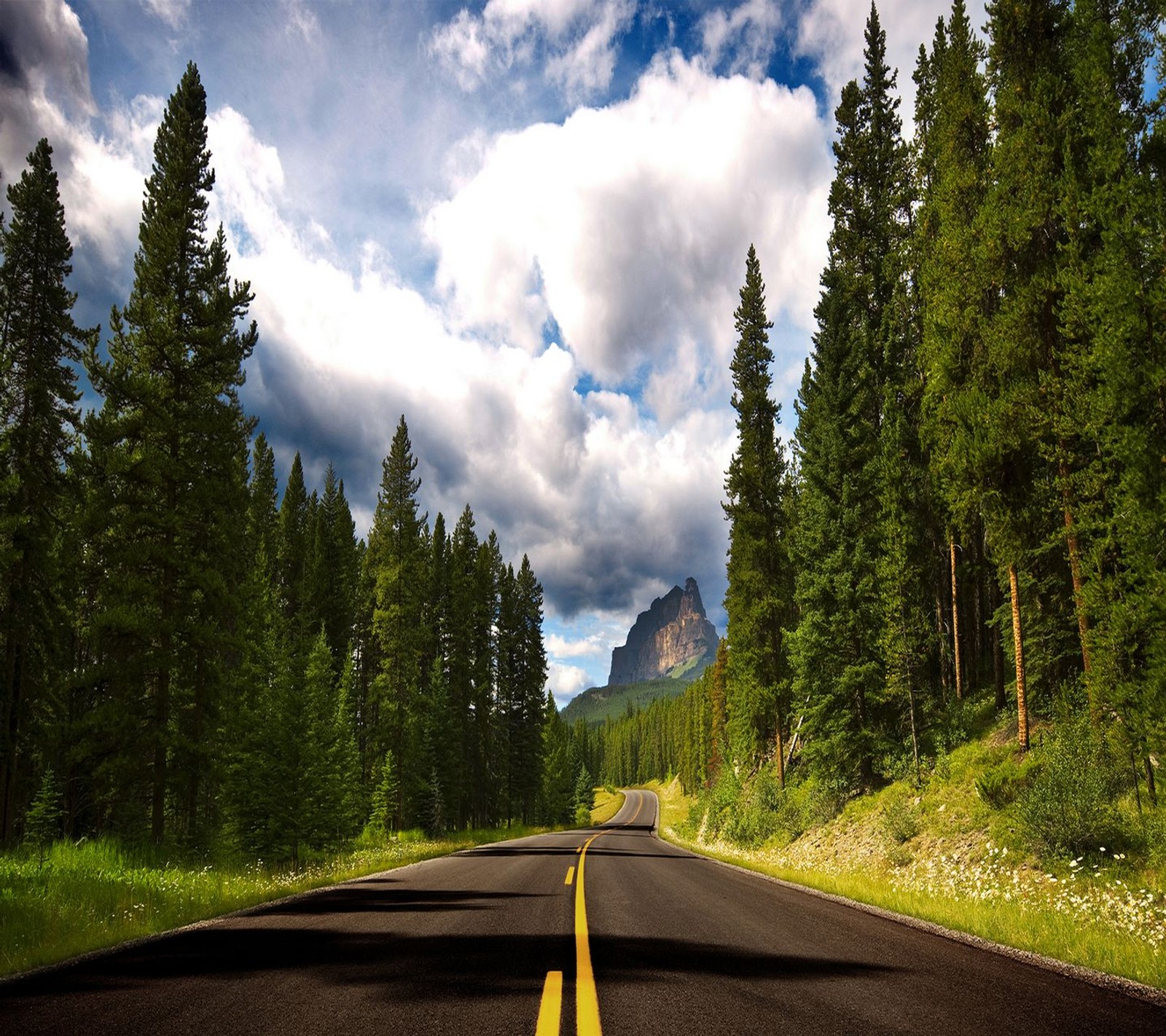 Arafed road with trees and mountains in the background (1 2, 1 3)