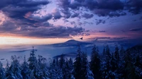 Coucher de soleil majestueux sur des montagnes enneigées et une nature toujours verte