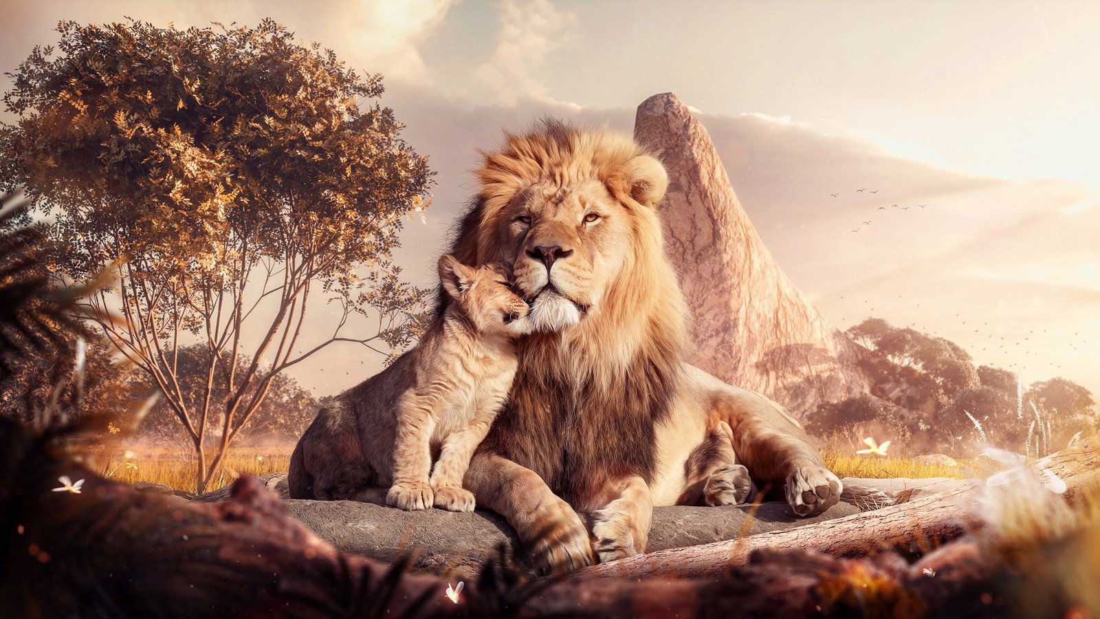 animals, lion, cub wallpaper