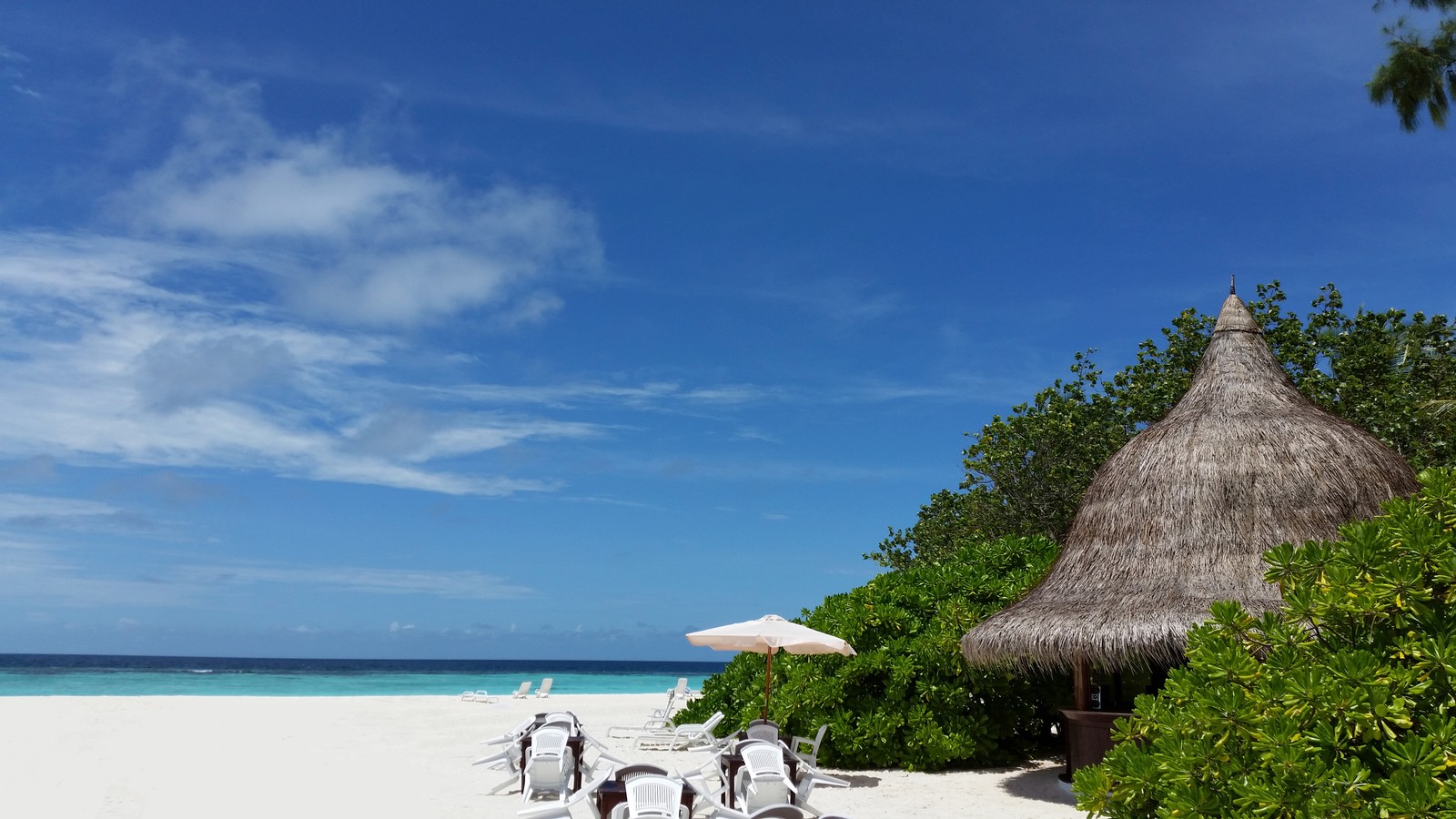 Há muitas cadeiras e guarda-sóis na praia perto da água (mar, praia, costa, oceano, férias)