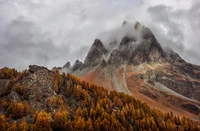 mountains, forest, autumn, foggy, peak wallpaper