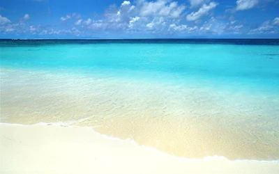 Lagune des Caraïbes tranquille avec des eaux cristallines et une douce plage de sable