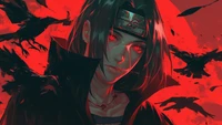 itachi uchiha, sharingan, crow, akatsuki, anime wallpaper