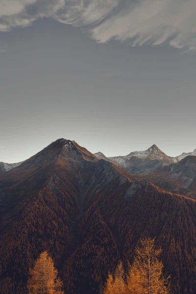 Crête de montagne majestueuse à l'heure dorée