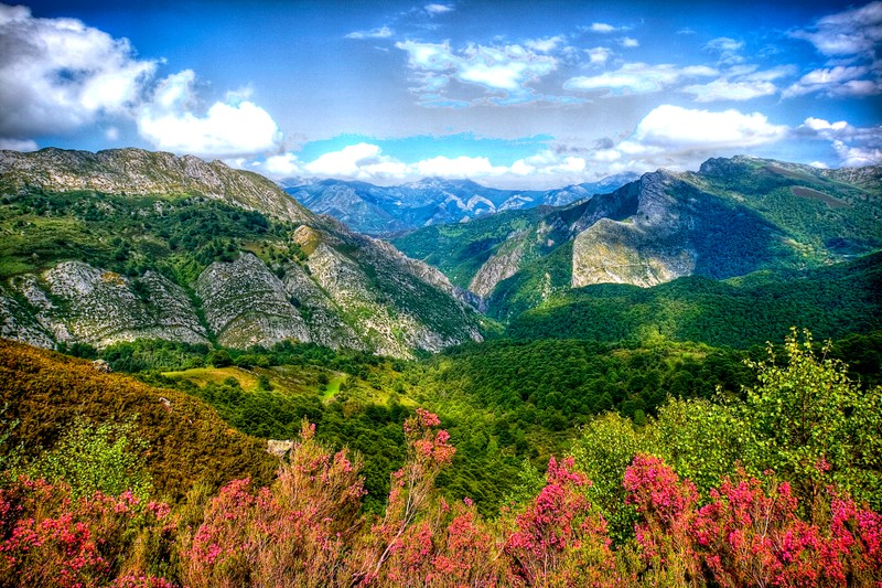 Вид на долину с горами и деревьями на заднем плане (природа, пейзаж, гора, горные образования, возвышенность)