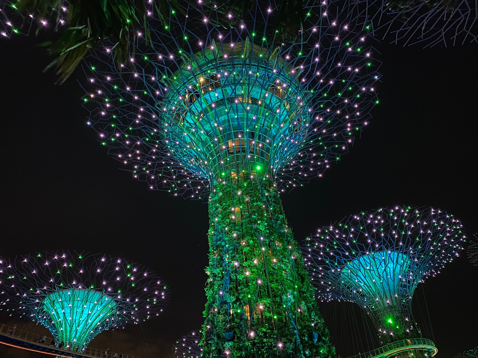 Descargar fondo de pantalla singapur, iluminación, luces navideñas, tierra, verde