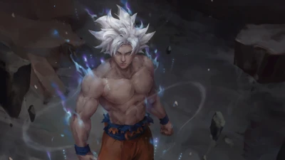 son goku, ultra instinct, dragon ball super, dragon ball, anime