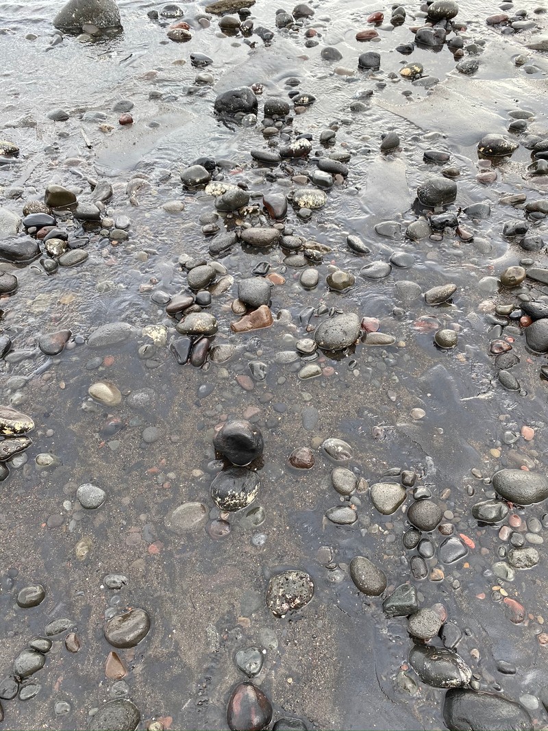 Черный объект в воде рядом со скалами (вода, русло реки, скала, серый, галька)