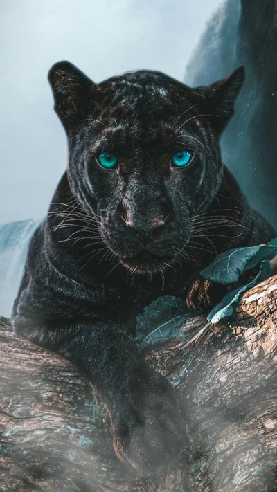 Majestuosa pantera negra con llamativos ojos azules en un entorno exuberante