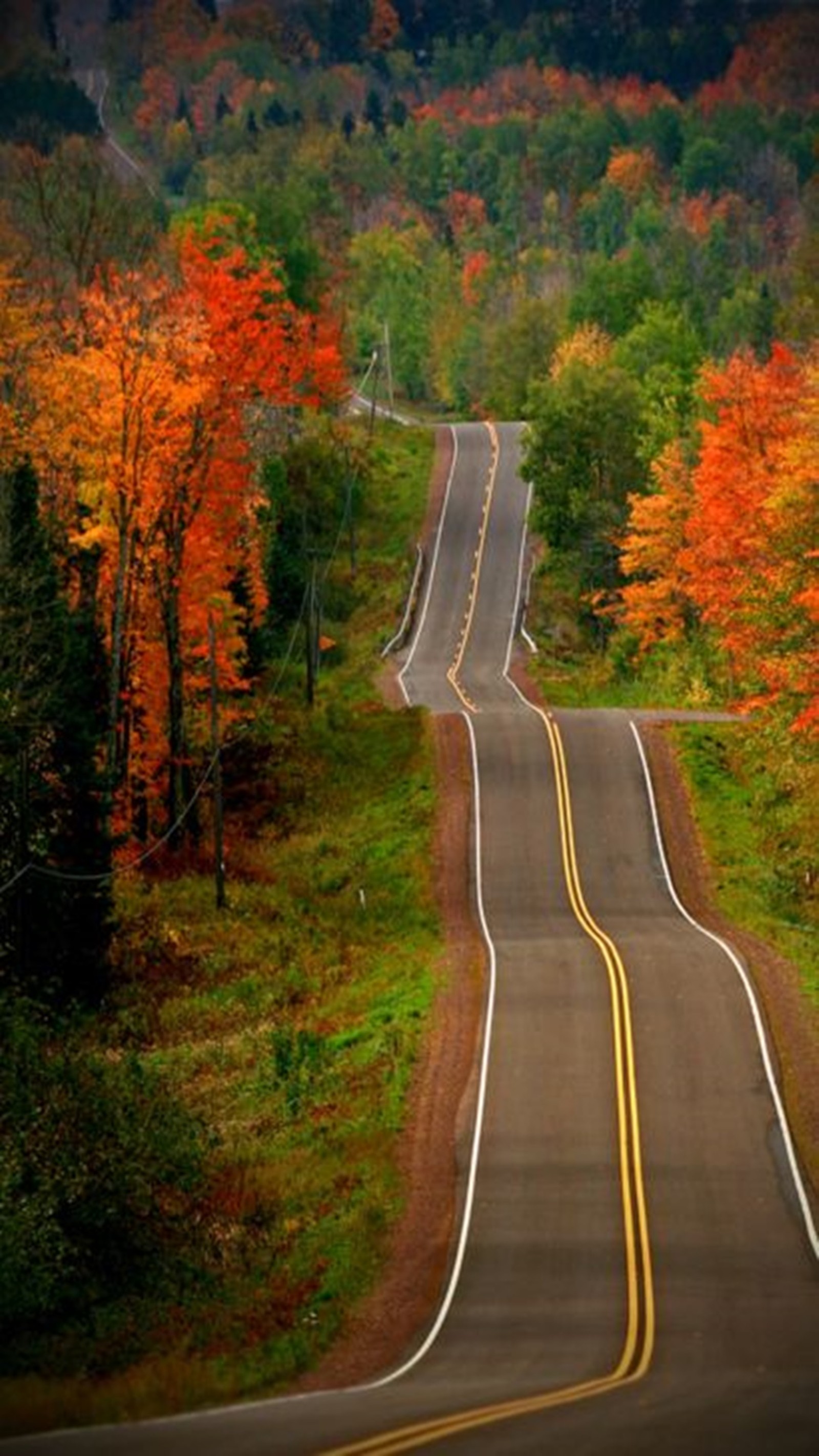 A view of a road with a yellow line going through the middle (autumn, road)